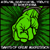 Saints of Great Aggression