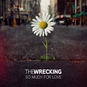 So Much For Love