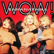 Wow! cover
