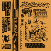 DEMO 2019