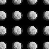 Moons