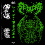 Undead Abyss