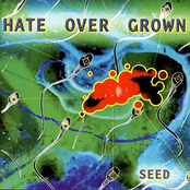 Seed
