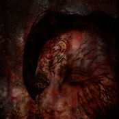THE VOID WITHIN