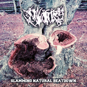 Slamming Natural Beatdown