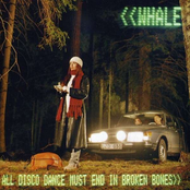 All Disco Dance Must End In Broken Bones cover