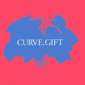 Gift cover