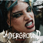 Underground cover