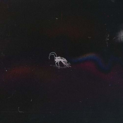 bugtape
