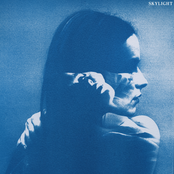 Skylight cover