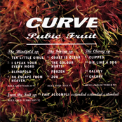 Pubic Fruit cover