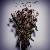All the Things You Wish I'd Say