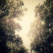 Reminiscence