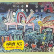 Accordion Stories