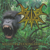 Killed By Fucking Gorilla