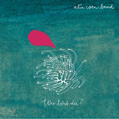 Alin Coen – Wer bist du?
