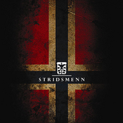 Stridsmenn