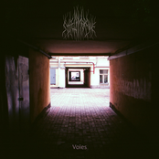 Voies