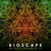 Nature's Geometry EP