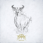Firtan – Seegang