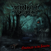 Concealed In The Shadow