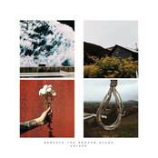 Beneath the Broken Glass