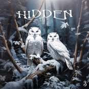 Hidden 3