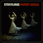 Muddy Walls