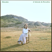 A Nobody In Paradise
