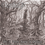 Sea of Trees Forest of Gallows