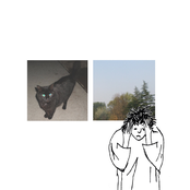 no fun