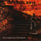 Necrophorus Humator