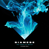 Siamese – The Shape of Water