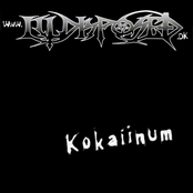 Kokaiinum