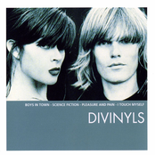 The Essential Divinyls