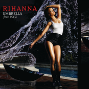 Umbrella cover