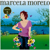 Morelo 5