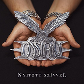Nyitott szívvel