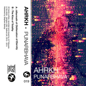 Punarbhava