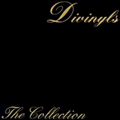 The Collection