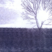 In the Cold Light of Day