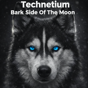 Bark Side Of The Moon