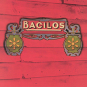 Bacilos