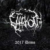 2017 Demo