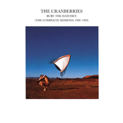 Bury the Hatchet (The Complete Sessions 1998-1999) cover