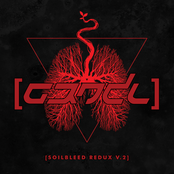 Soilbleed Redux V.2