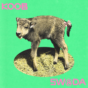 KOOB – Zubraniatka
