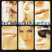 Sure Thing cover
