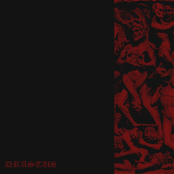 Roars From The Old Serpent's Paradise