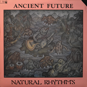 Natural Rhythms